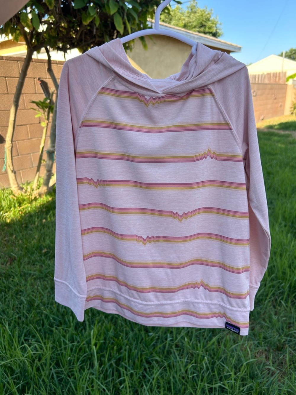 Patagonia Kids Pink Hooded Stripe Pullover